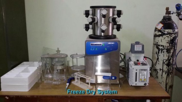 Freeze Dry System 