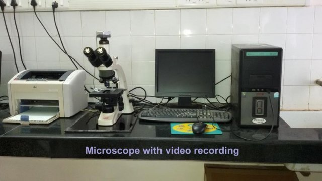 Microscope 1