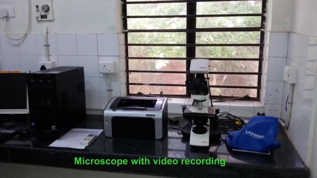 Microscope 2