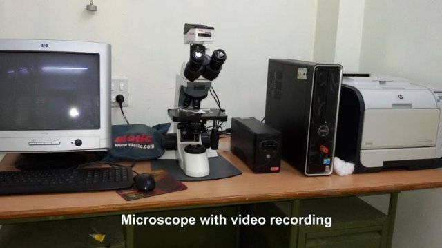 Microscope 3