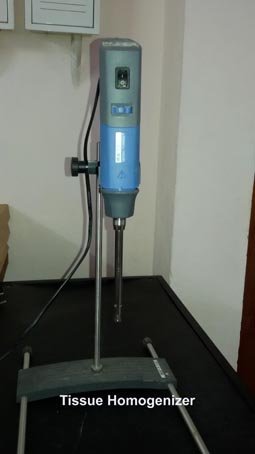 Tissue Homogenizer